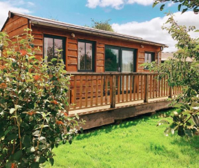 The Holford Arms Chalets and Glamping